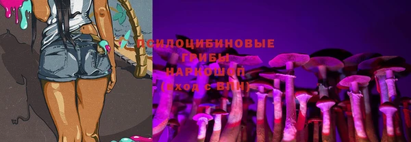 молекула духа Арсеньев