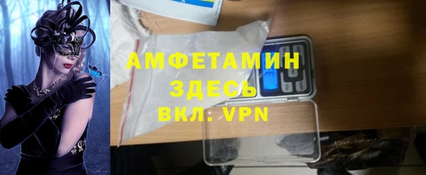 молекула духа Арсеньев