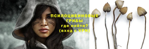 молекула духа Арсеньев