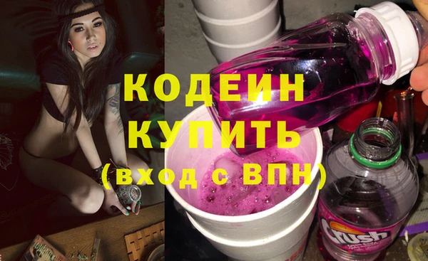 молекула духа Арсеньев