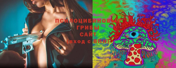 молекула духа Арсеньев