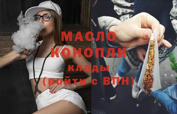 молекула духа Арсеньев